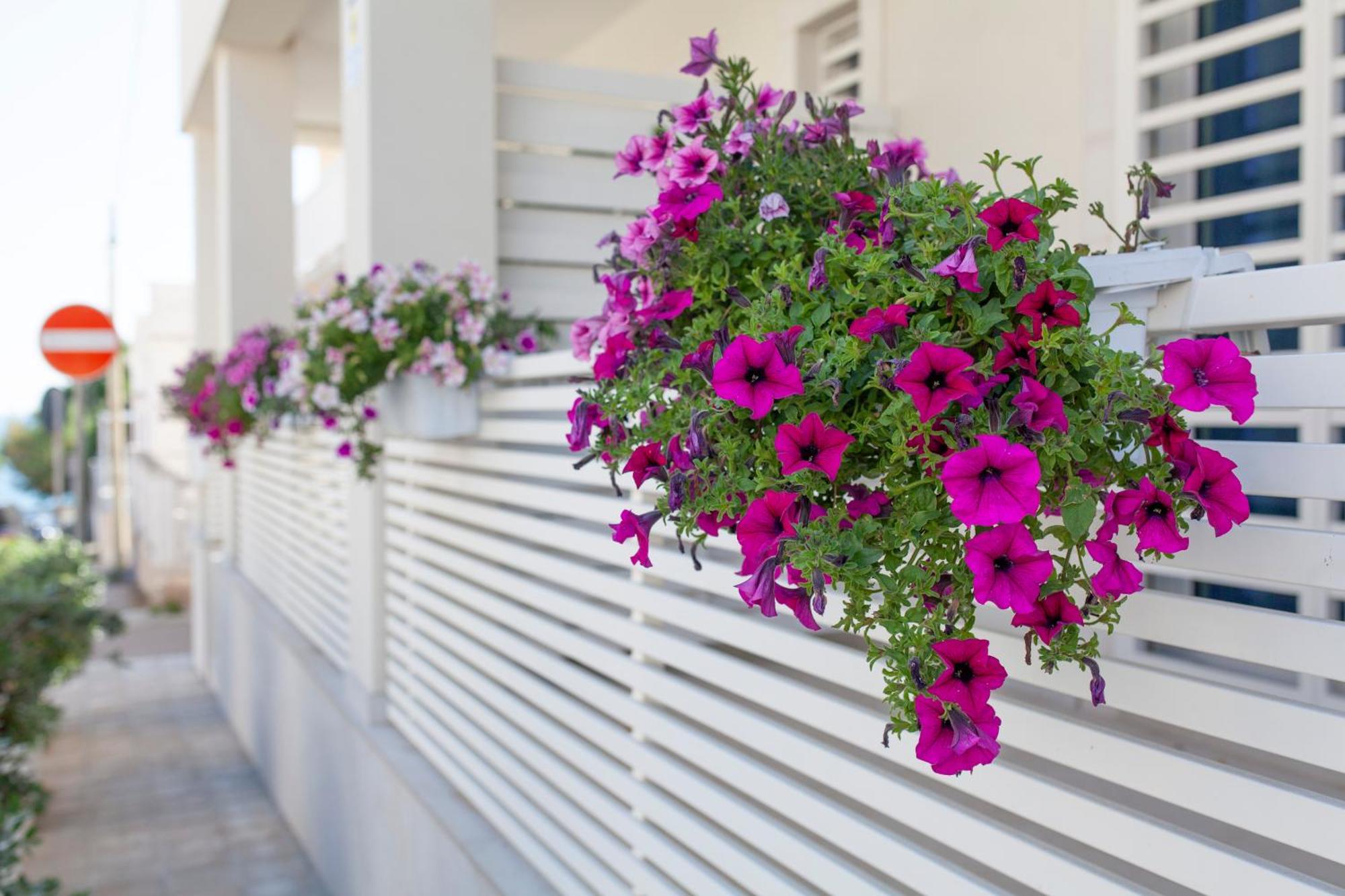 Dimora Nesea Bed and Breakfast Cozze Εξωτερικό φωτογραφία