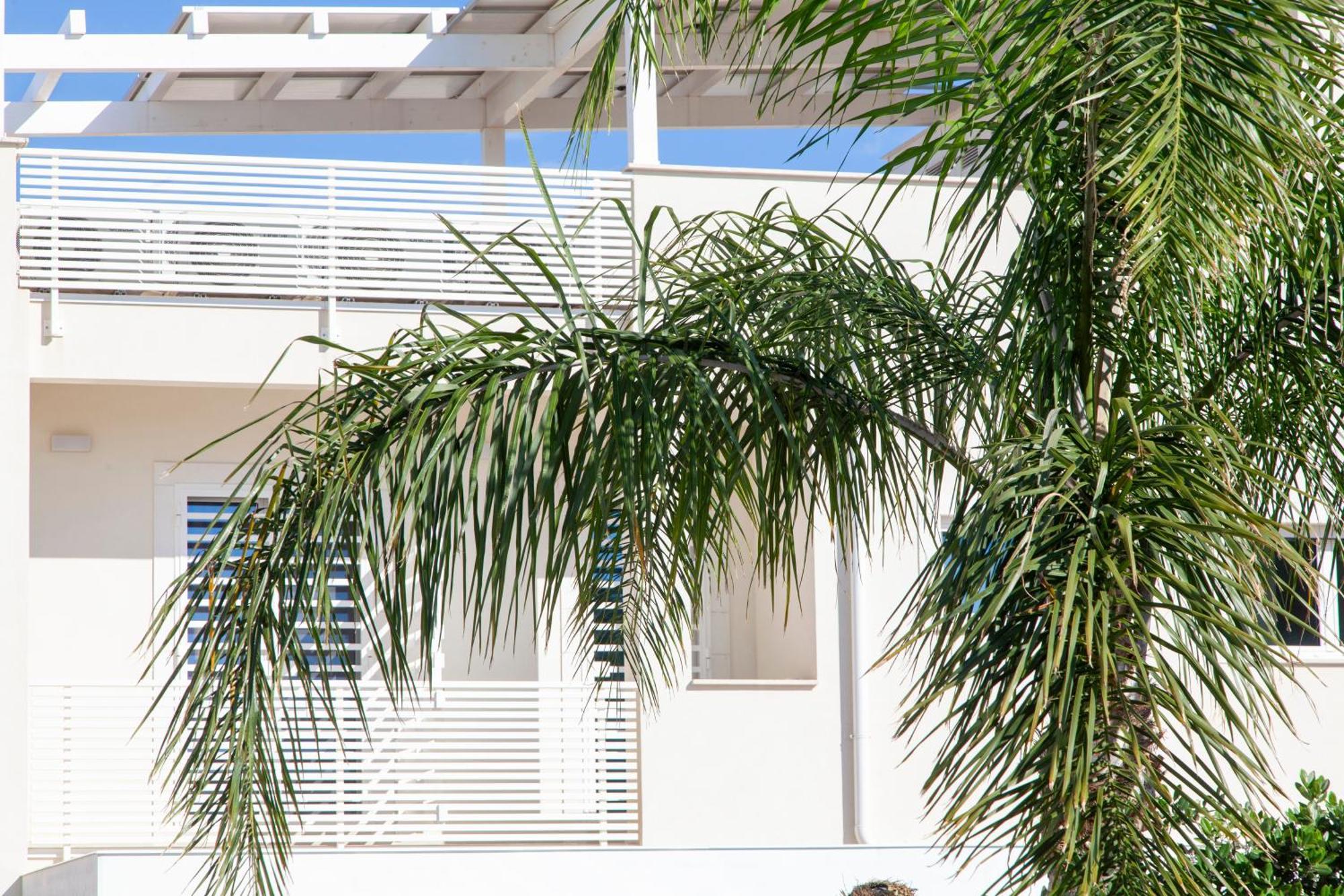 Dimora Nesea Bed and Breakfast Cozze Εξωτερικό φωτογραφία